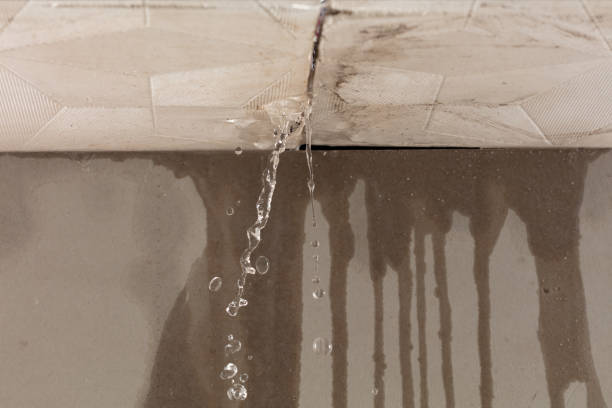 Professional Water Damage Inspection technician working in Wellfleet, MA
